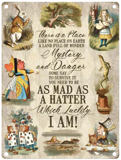 Alice in Wonderland -There is a place -  Metal Sign